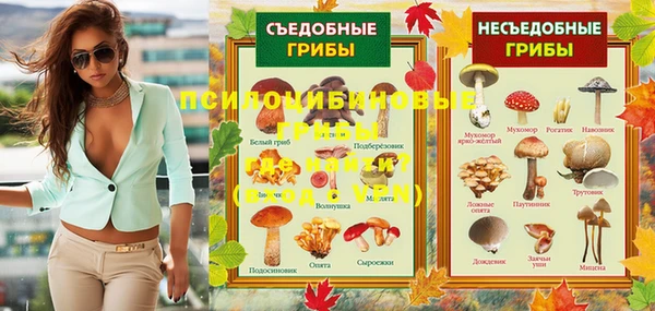 тгк Саяногорск