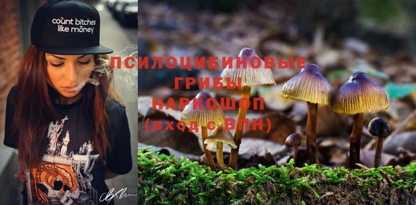 наркотики Приозерск