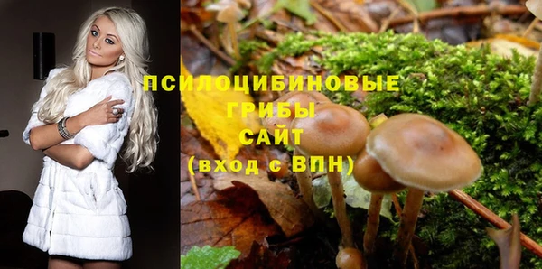 наркотики Приозерск