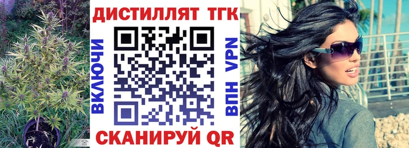Купить закладки  Елизово  Дистиллят ТГК гашишное масло 